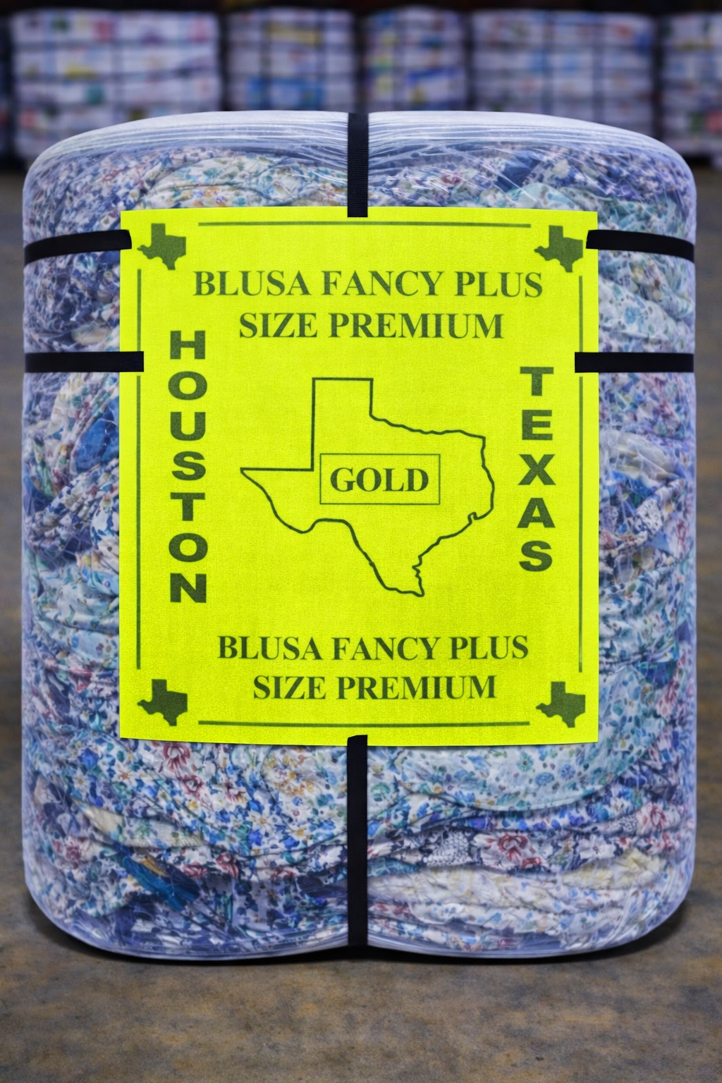 HT BLUSA FANCY PLUS SIZE